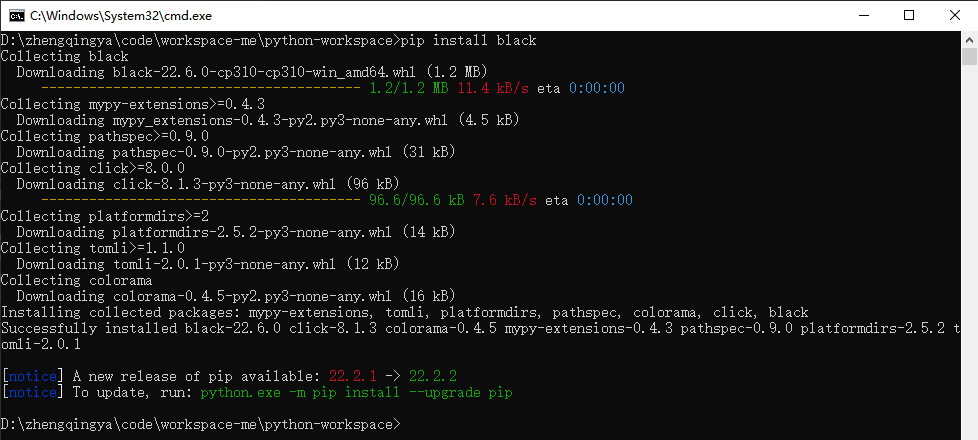 pip-install-black.png