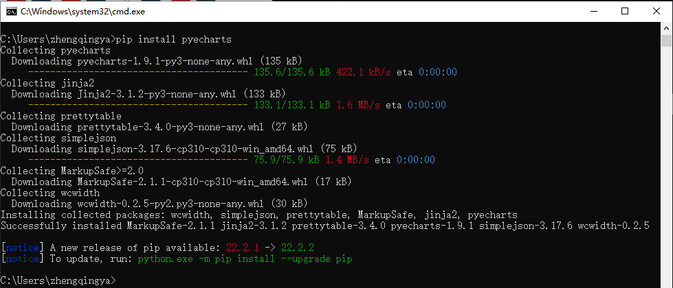 pip-install-pyecharts.png