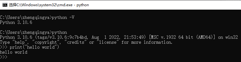 python-install-07.png